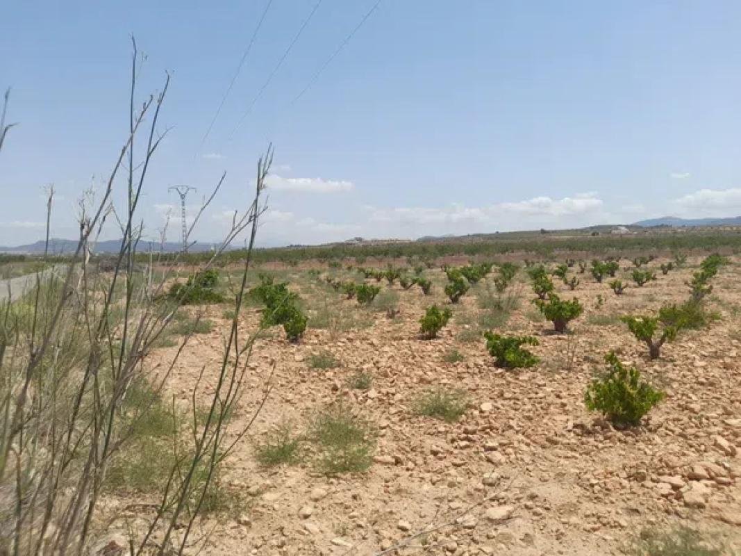 property-159774-4-medium