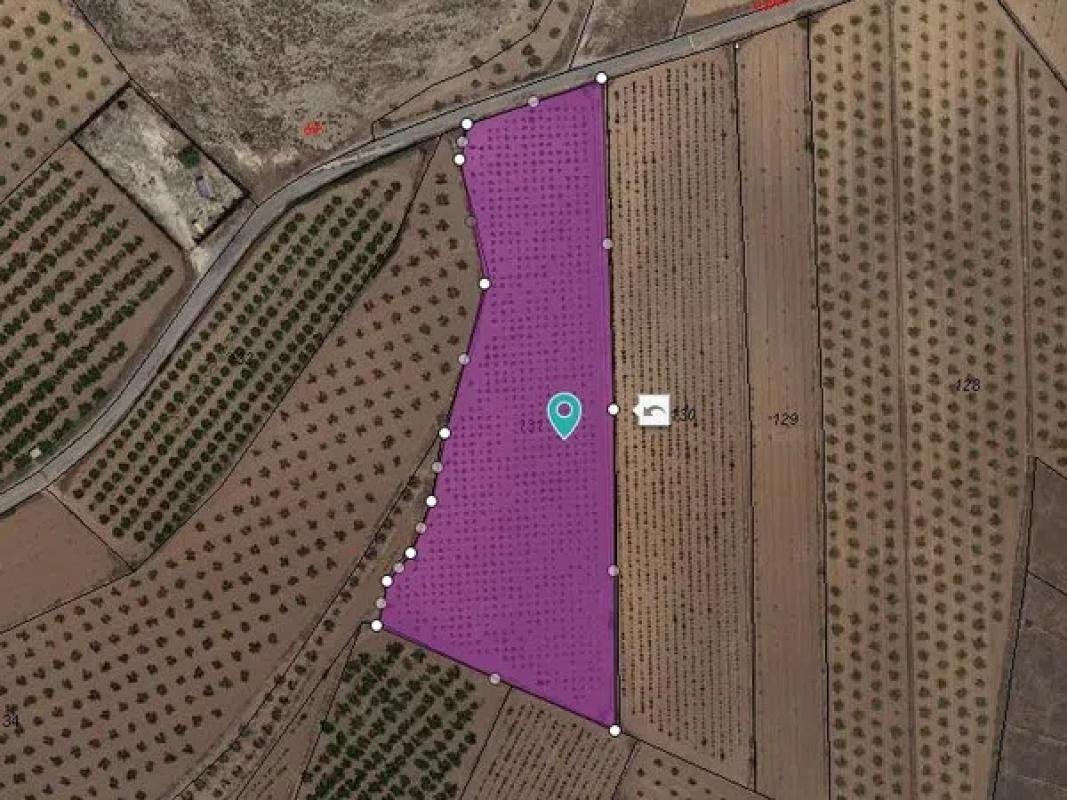 property-159774-7-medium