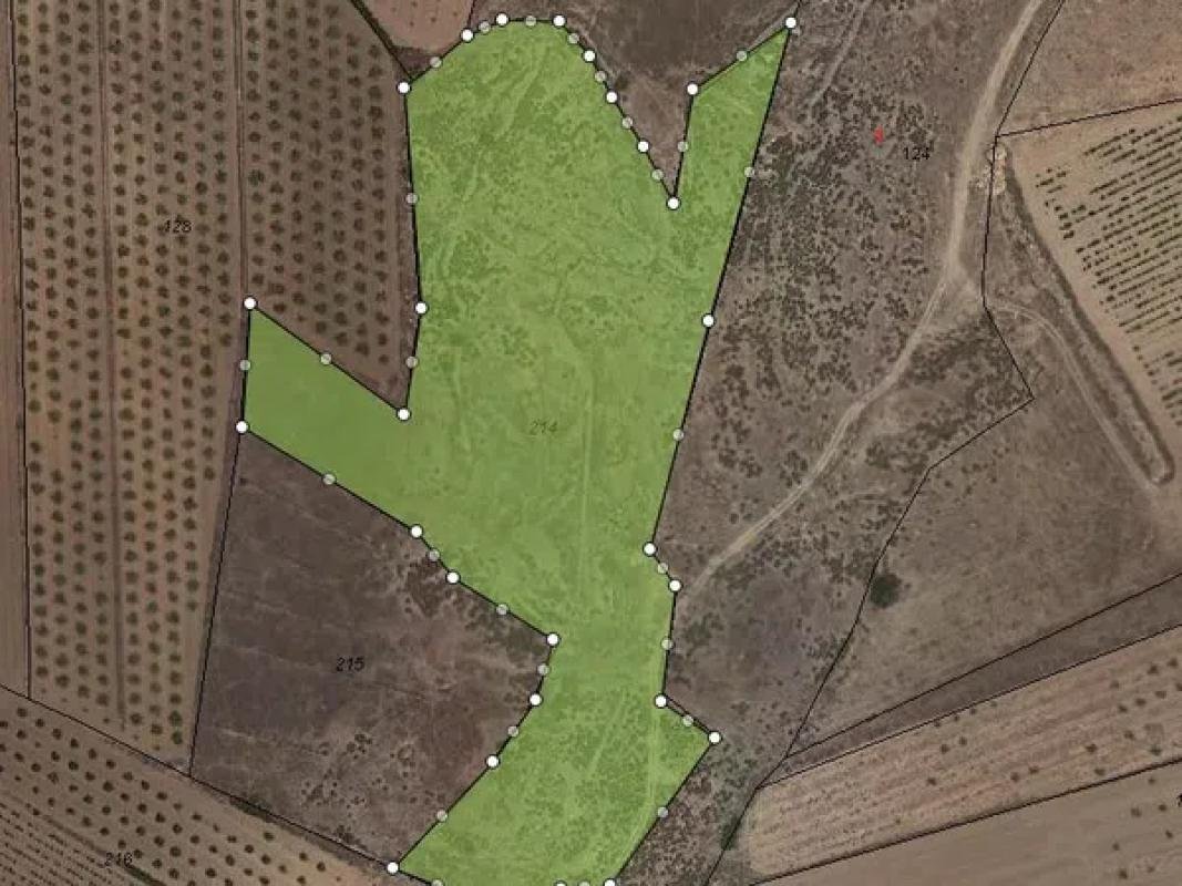 property-159776-1-medium