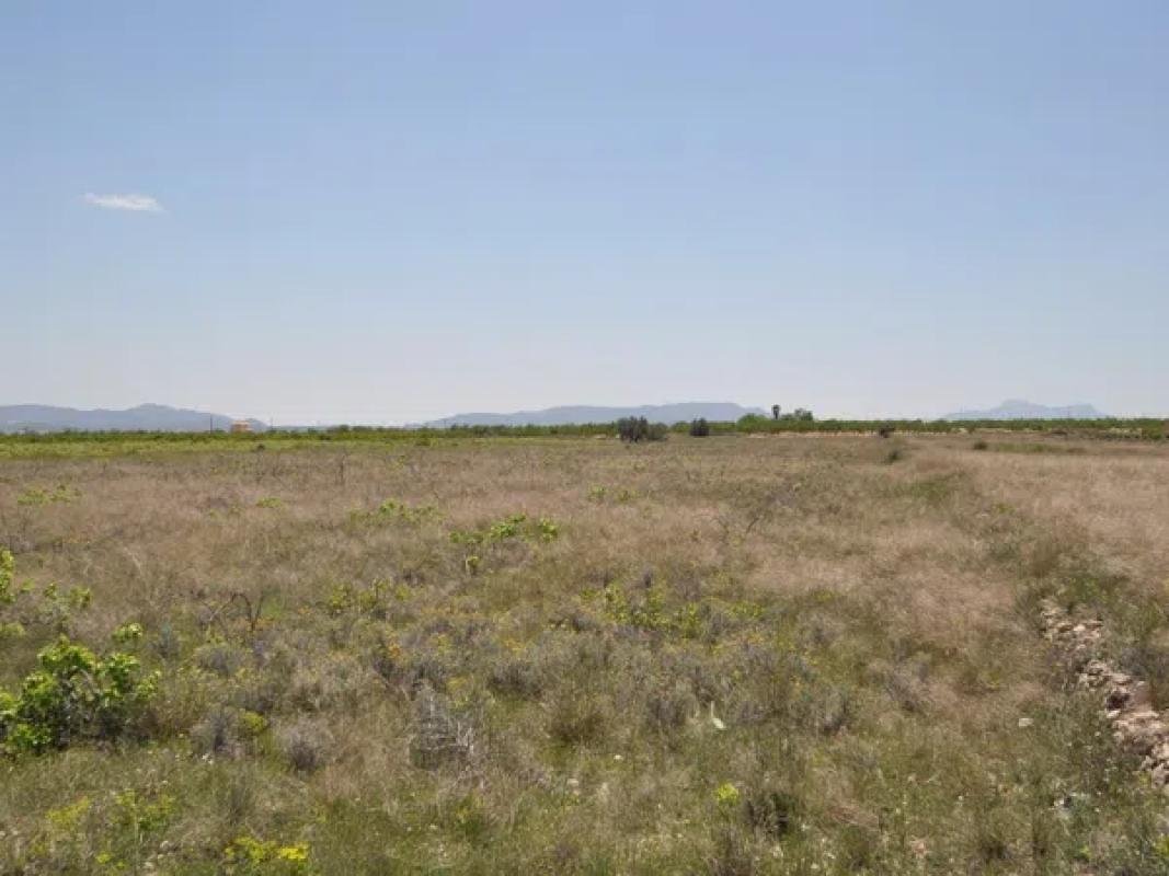 property-161753-1-medium