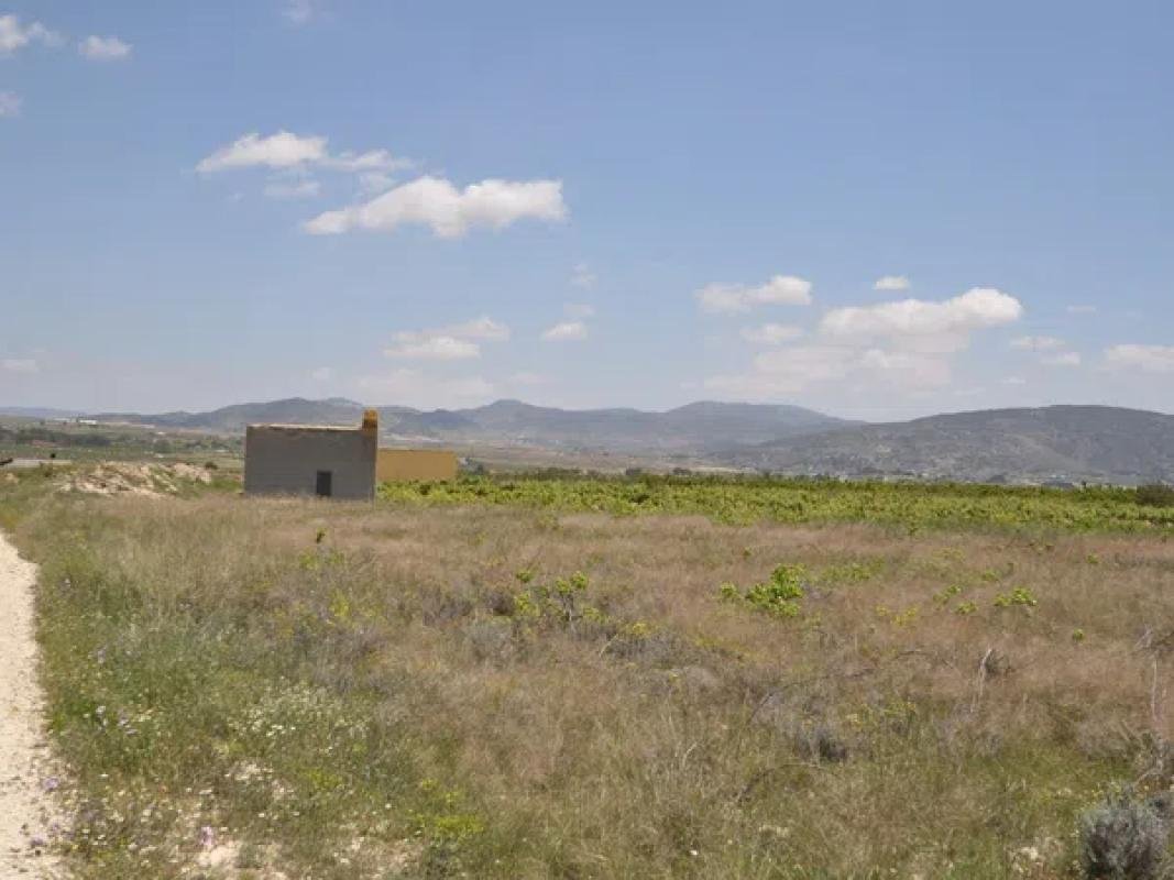 property-161753-8-medium
