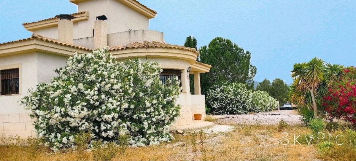 property-521874-1-medium
