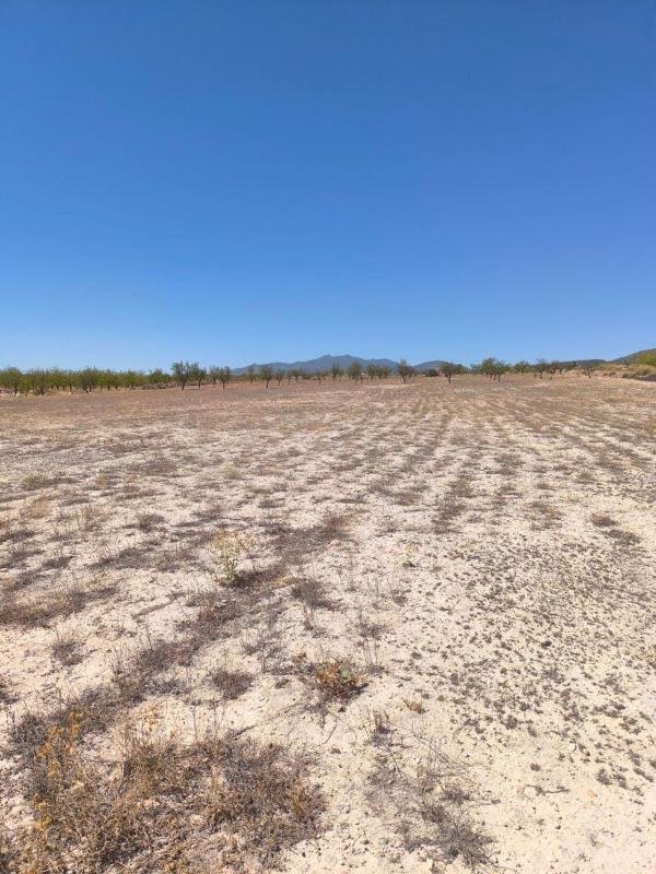 property-547913-2-medium