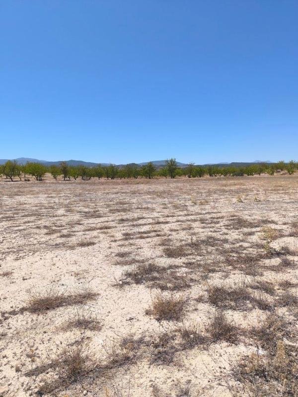 property-547913-3-medium